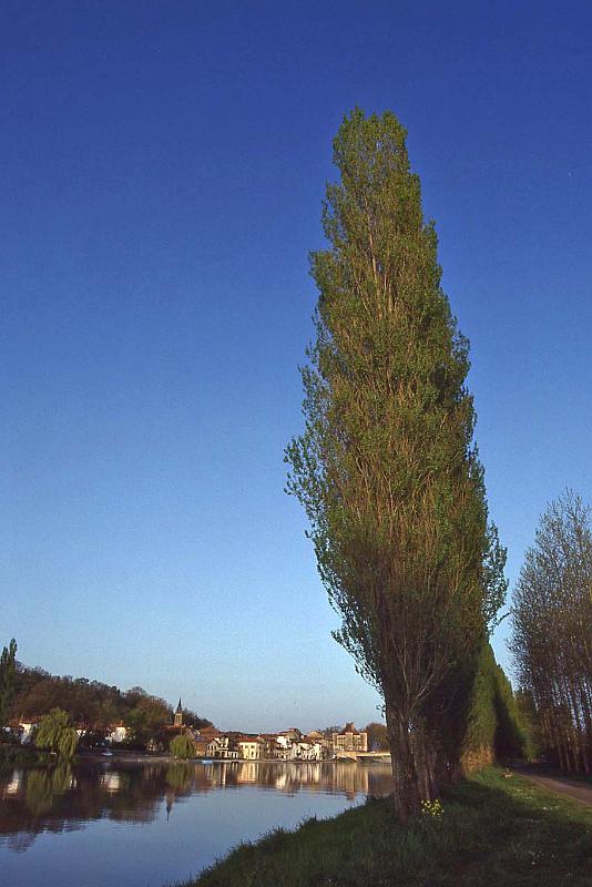 WT 2500 314-26 France 92.jpg